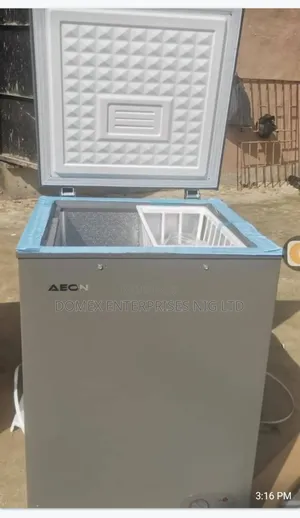 Deep Freezer for Business or Home Use