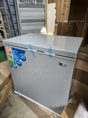 Lg Freezer Model Flg358 ,200l