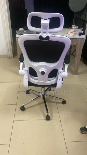 Beautiful Ergonomic Chair