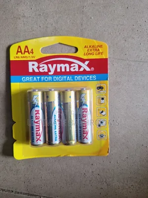 Raymax Long Lasting Battery for Your Appliances