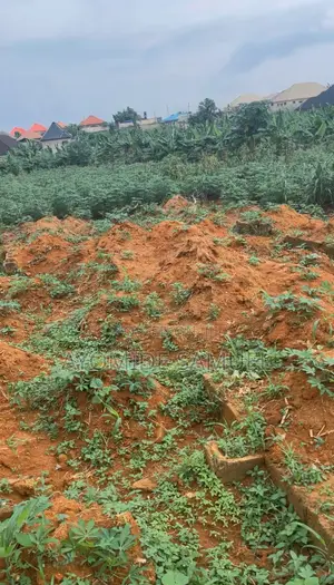 Half Plot of Land