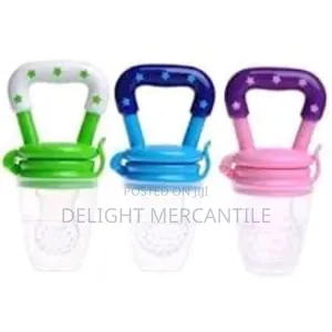 Baby Kids Fruit Feeder