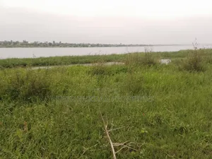 For Sale Swampy Land Beside River