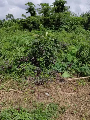 2 Plots of Land Akobo/Olorunda Abaa