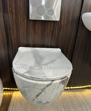 Concealed Wc With Design