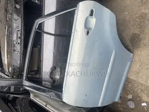 Toyota Lexus Rx330 Back Left Door