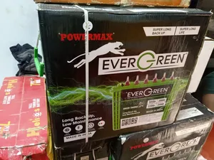 Ever Green Solar Tubular Battery 220ah