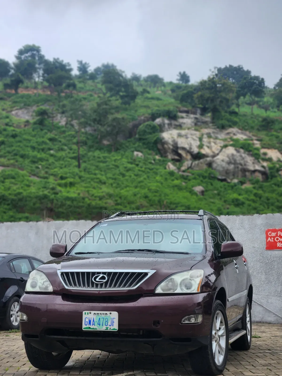 Lexus RX 2008 Brown