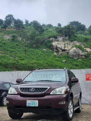Lexus RX 2008 Brown