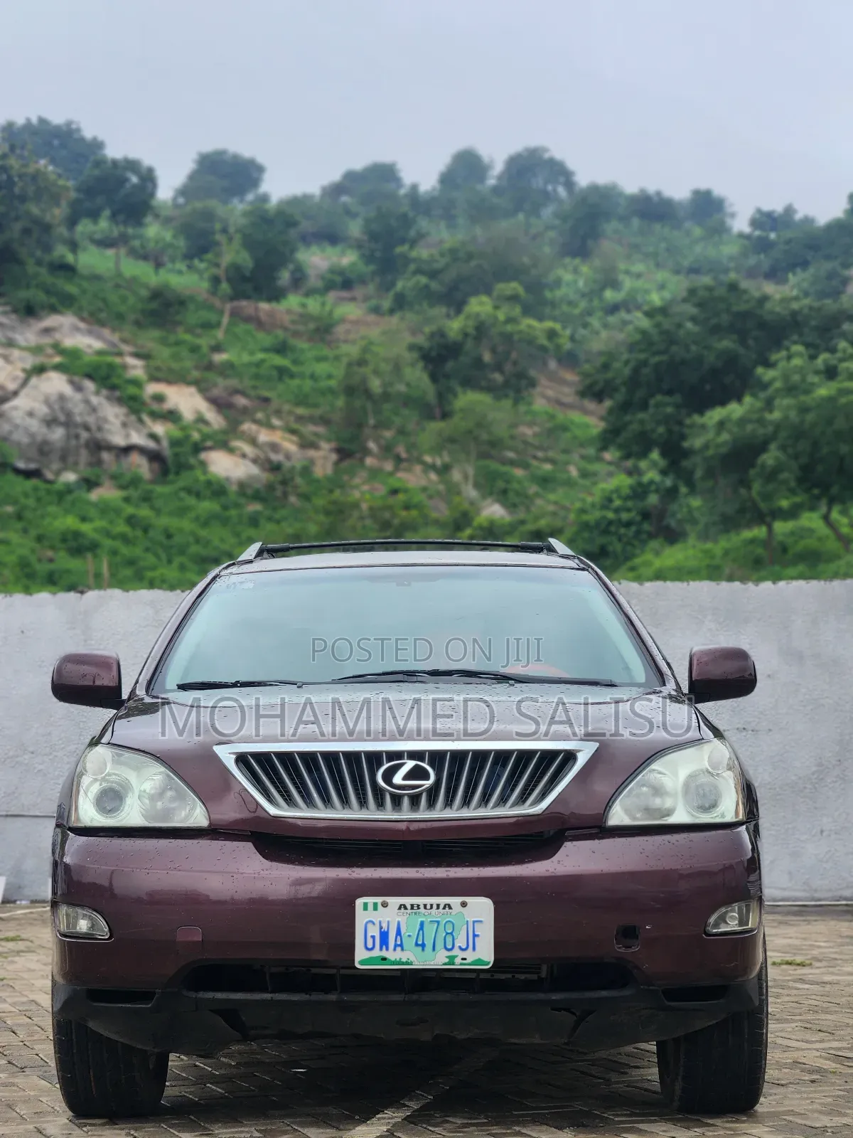 Lexus RX 2008 Brown