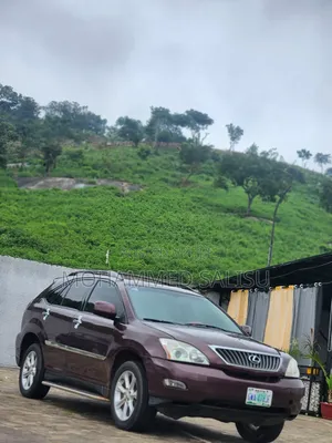 Lexus RX 2008 Brown