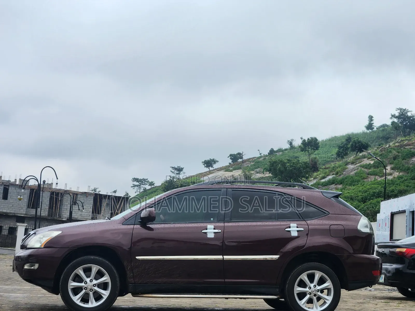 Lexus RX 2008 Brown