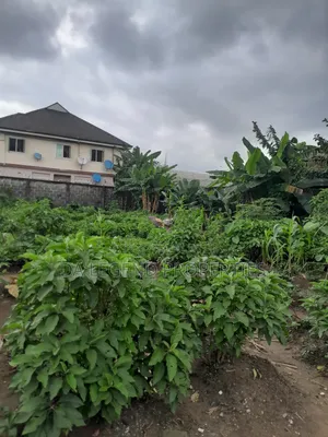 2 Sweet Plots of Land for Sale in Elibolo