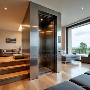 "Shaftless Home Elevator Cost Nigeria