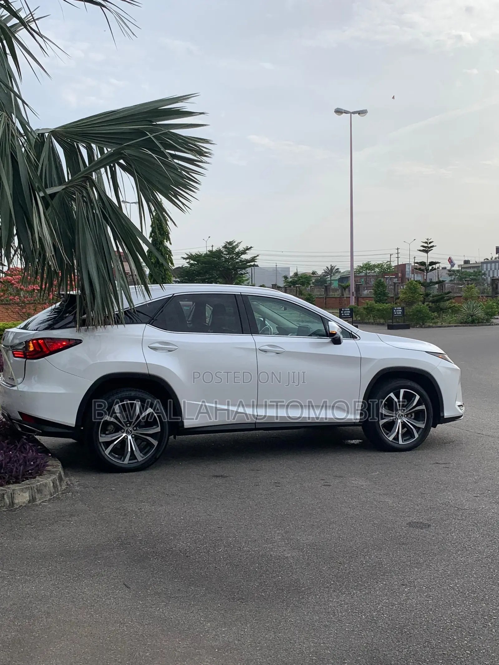 Lexus RX 2022 White
