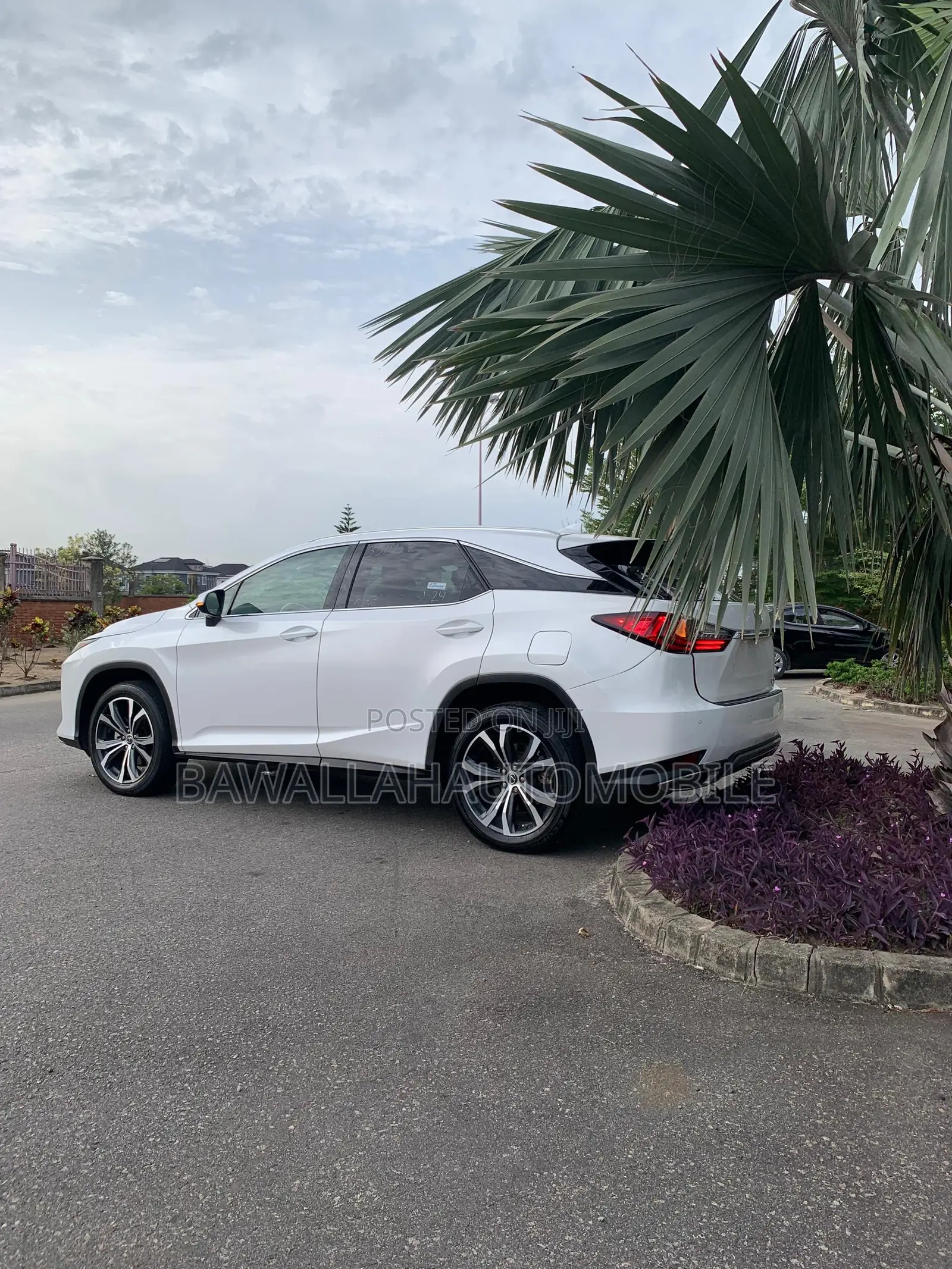 Lexus RX 2022 White