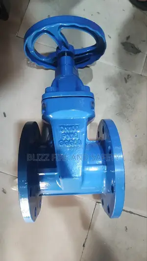Gate Valve 4" Inches