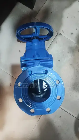 Gate Valve 4" Inches