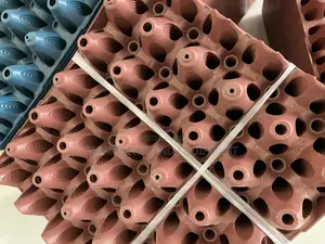 Eggs Crate