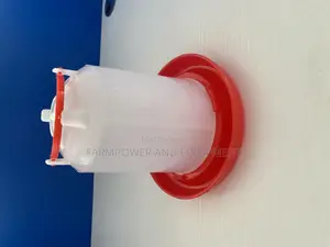 4litres Imported Drinker