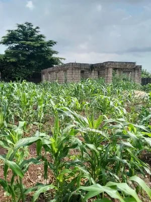 Full Plot of Land With 4bedroom 3shops at Ijede, Ikorodu.