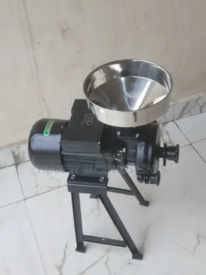 Industrial Wet and Dry Grinder