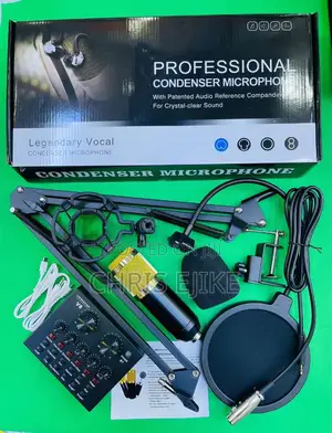 Professional Condenser Microphone