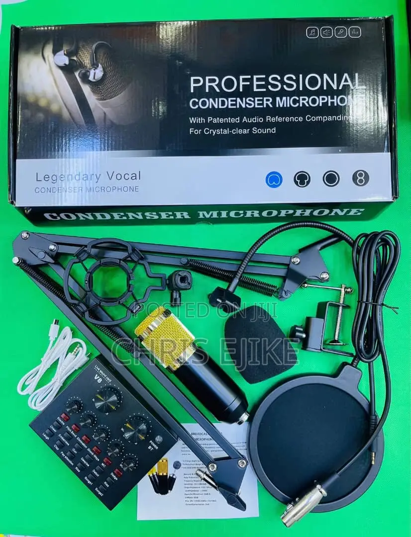 Professional Condenser Microphone
