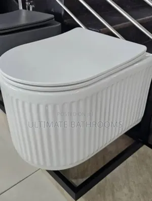 Executive White Conceal Watercloset