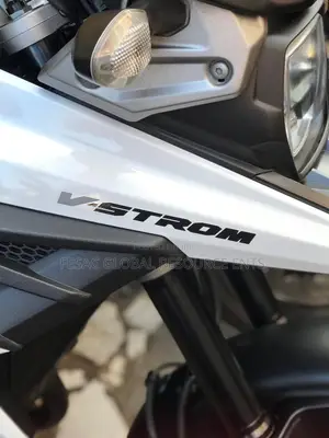 Photo - Suzuki V-Strom 2021 Gray