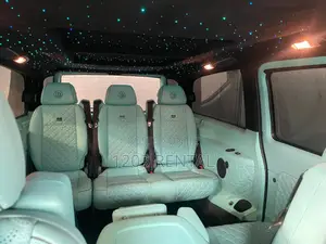 Mercedes Benz Viano(V250)
