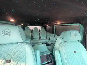 Mercedes Benz Viano(V250)