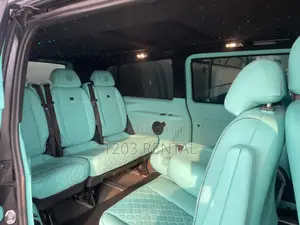 Mercedes Benz Viano(V250)