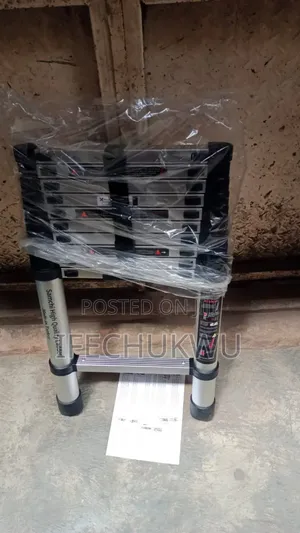 Telescopic Laddder
