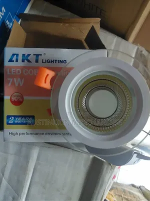 Various Ceiling Light and Fixtures