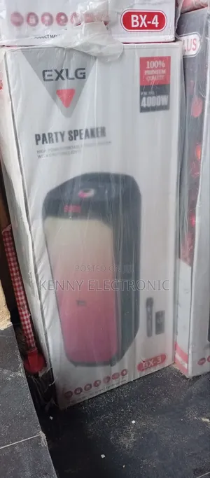 Double 8inches Party Box,With Wireless Microphone 