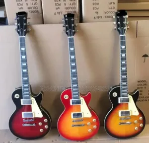 Professional Semi Acoustic Guitar