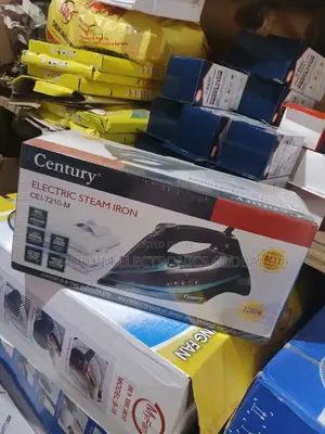 Electric Steam Iron