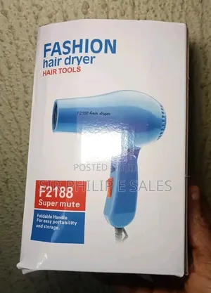 Professional Hair Dryer