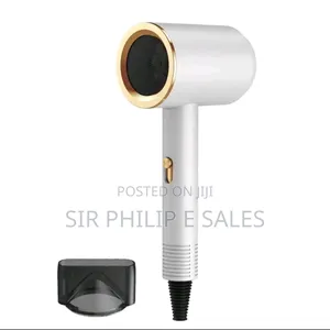 Professional Hair Dryer