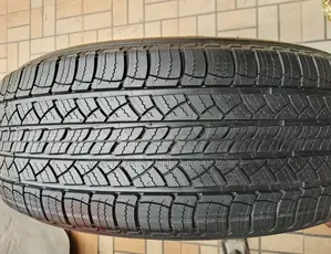 245/60 R 18 Michelin