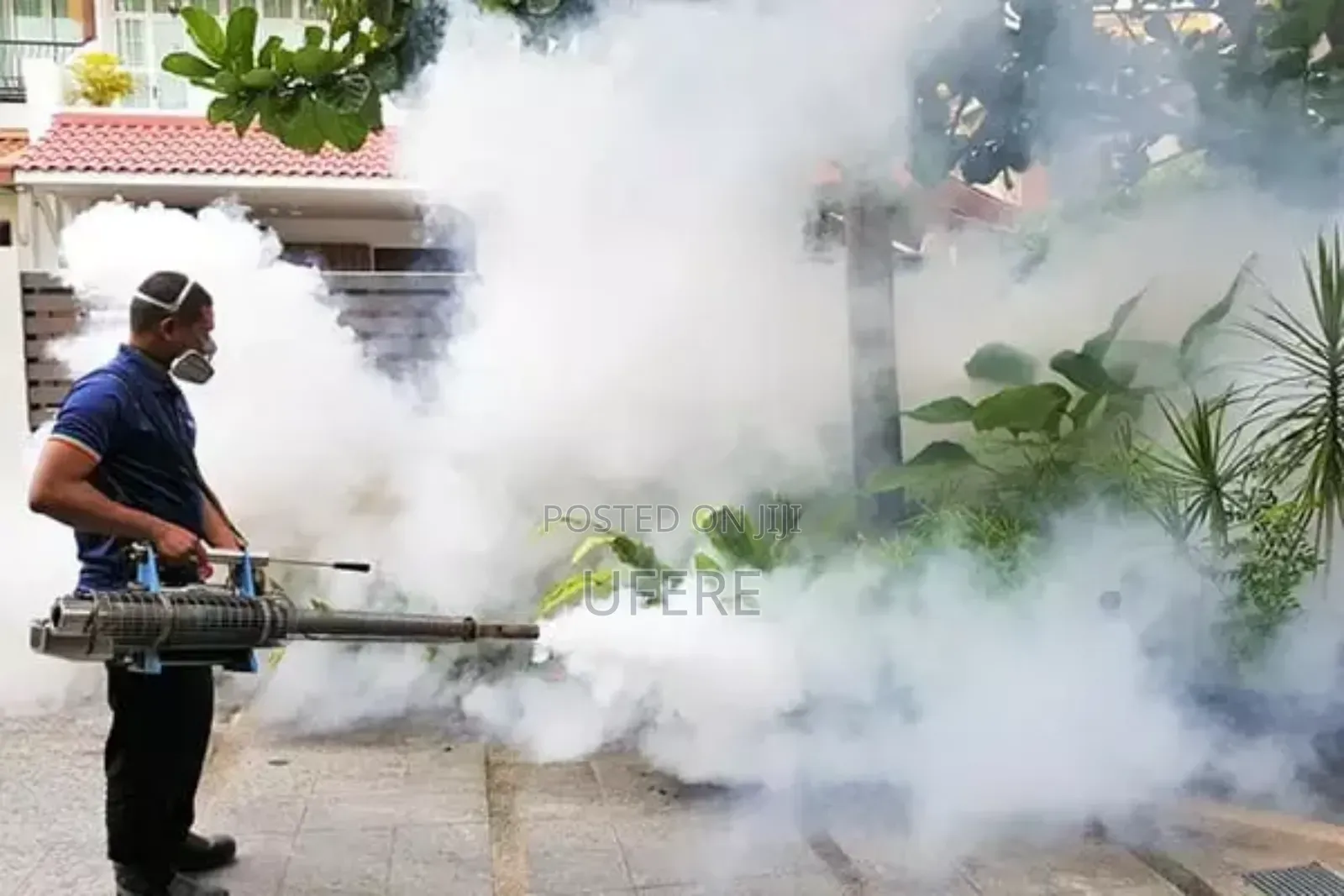 Bedbugs Terminator Expert