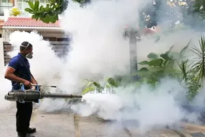 Bedbugs Terminator Expert
