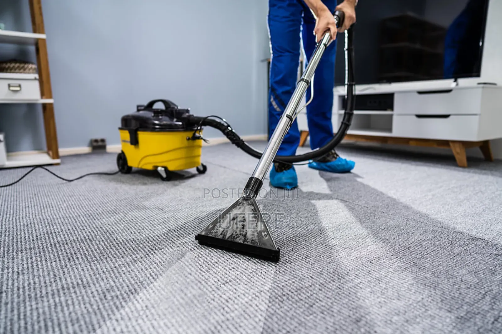 General Housing Cleaning Fumigation