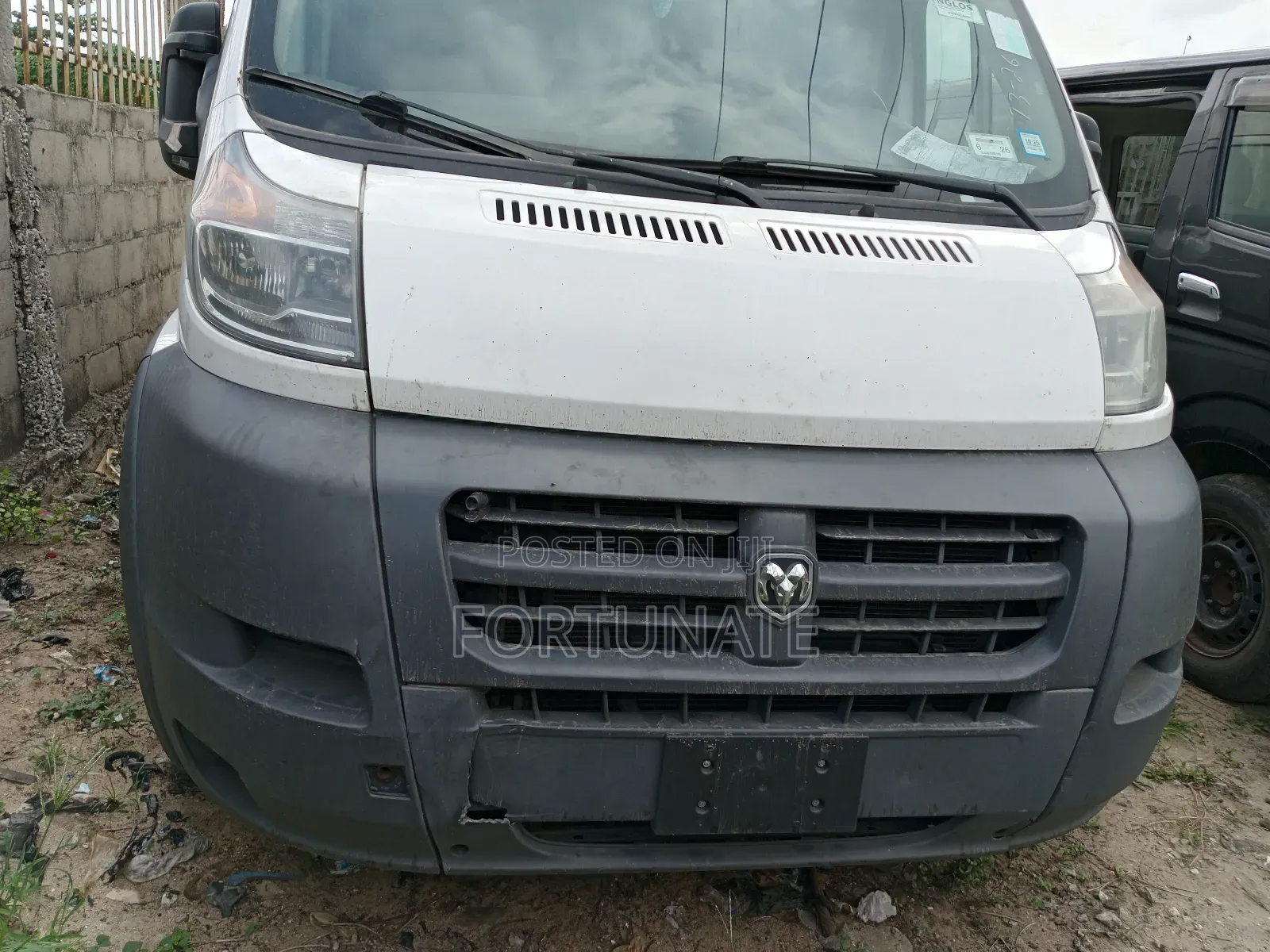 Bus 2018 White