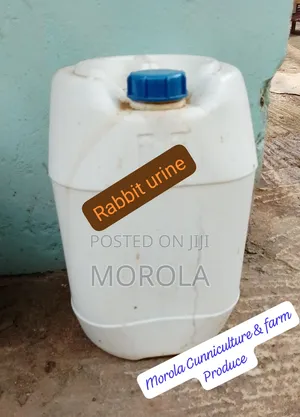 Rabbit Urine for Sale