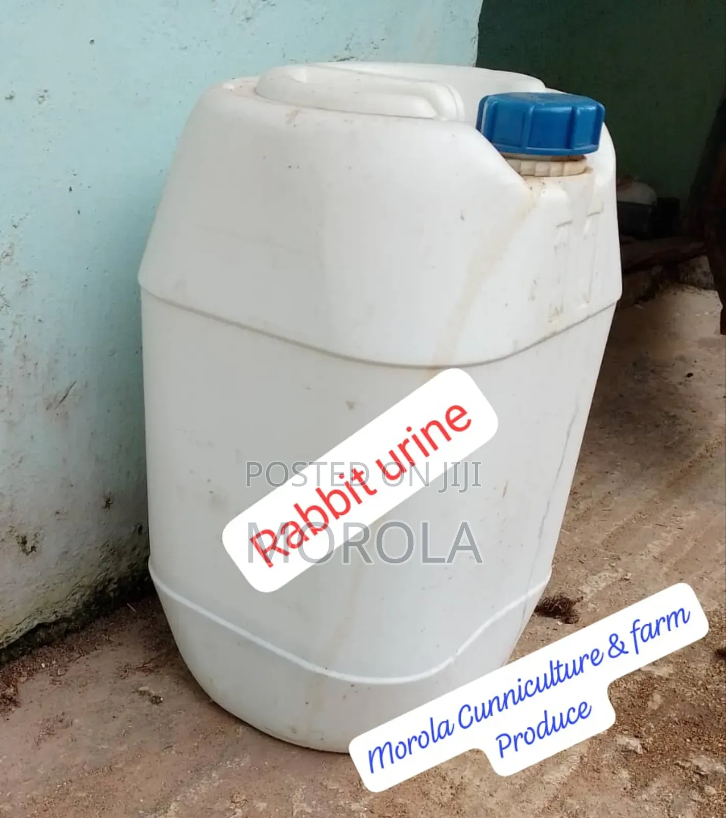 Rabbit Urine for Sale