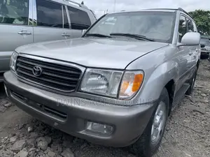Toyota Land Cruiser 2004 Gray