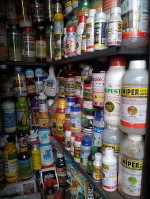 Chemical Used for Bed Bugs an Insect