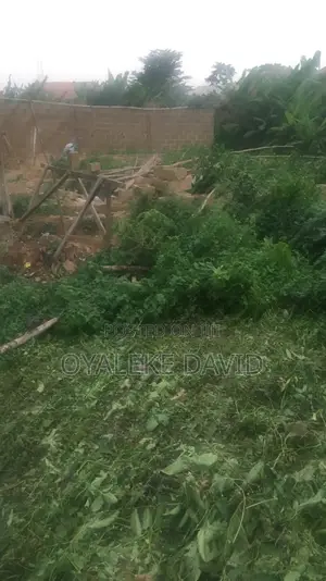 A Plot of Land for Sale at Wofun Olodo Kute Power Line